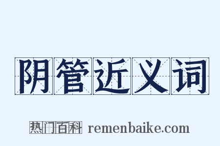 阴管近义词是什么意思的图片